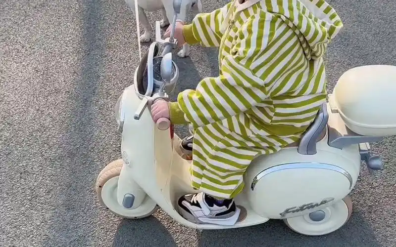 屁桃祺祺-原来修勾也会报仇啊 哈哈哈哈哈 屁桃的搞笑日常 一身反骨的