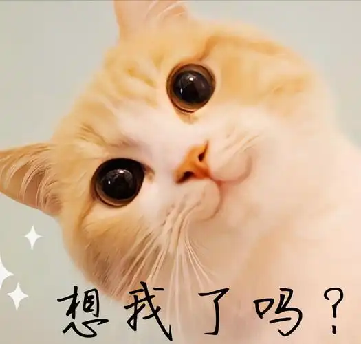 可爱猫咪表情包