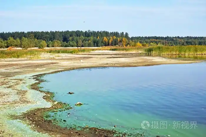 岸边的河和生态问题