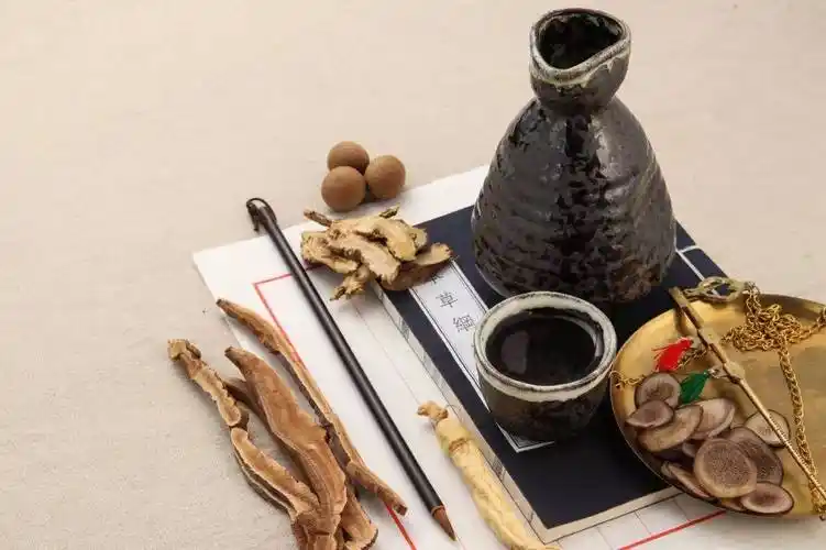 2021赵氏普众酒董事长谈药酒的简史