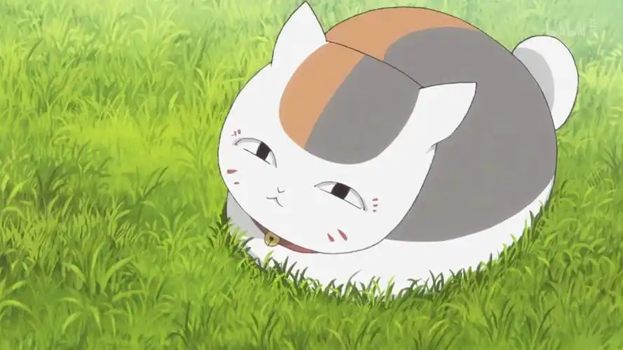 夏目友人帐 猫咪老师 娘口三三