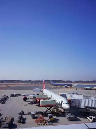 无人,机场,竖图,室外,白天,正面,飞机,飞机场,卡车,汽车,交通,航空,车