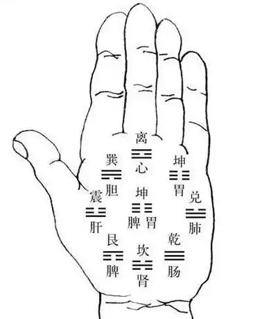 手友汇手诊技术伸手知健康明性格,助你汇人脉抓钱脉!