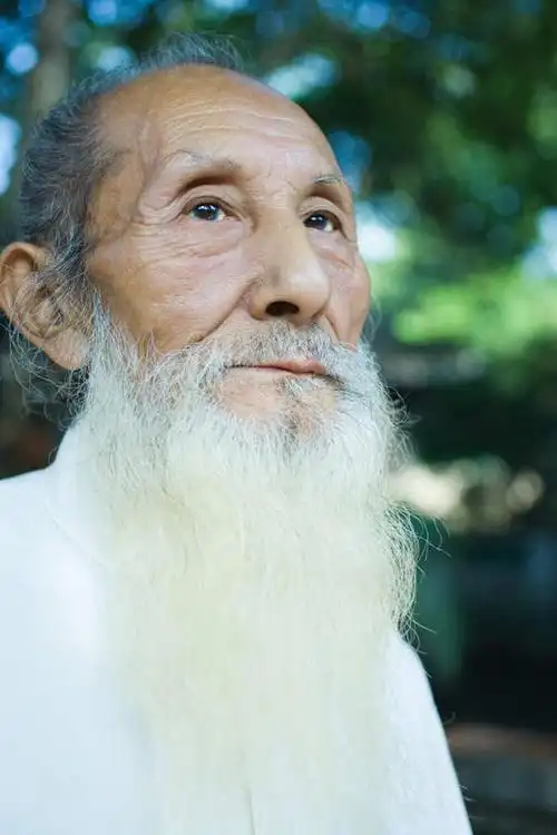 室内,特写,白天,正面,树林,植物,亚洲,仅一个男性,仅一个人,注视,黄种