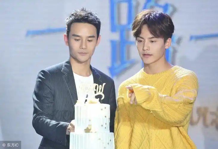 王凯和马天宇,马天宇王凯在一起了,王凯马天宇是一对吗(第5页)_文秘苑