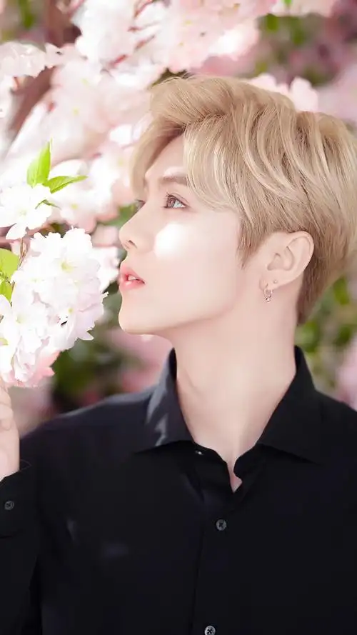 鹿晗超帅写真高清壁纸,抱走留言