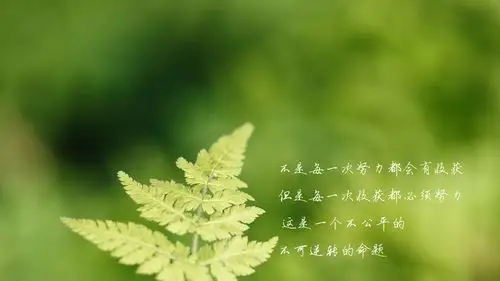 唯美心灵语录文字桌面壁纸下载