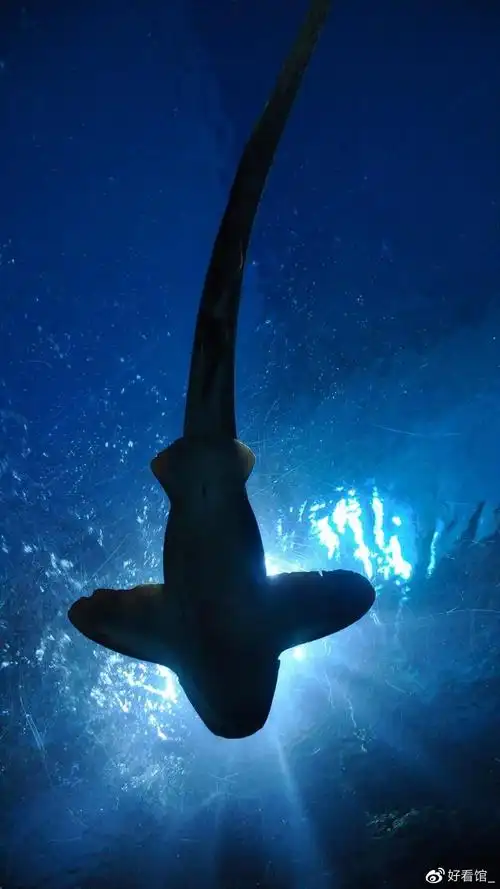 1080_1920竖版 竖屏