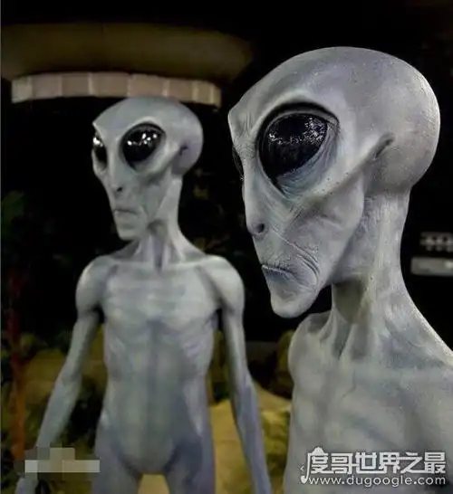 频繁活跃在地球的外星灰人,实际上已经与美国完成交易