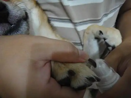 lu&bart 幸福旅程 启程