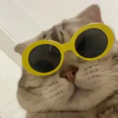 猫咪戴眼镜头像