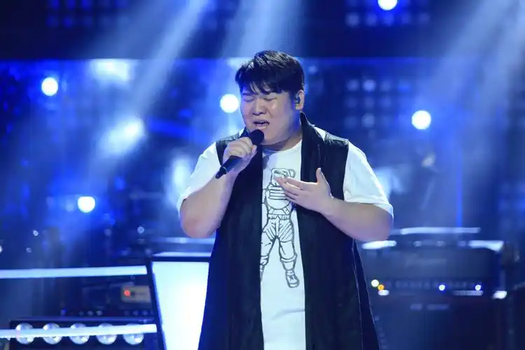 中国好声音李安