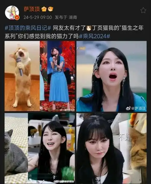 萨顶顶cos喵星人表情包##萨顶顶喵星人本喵