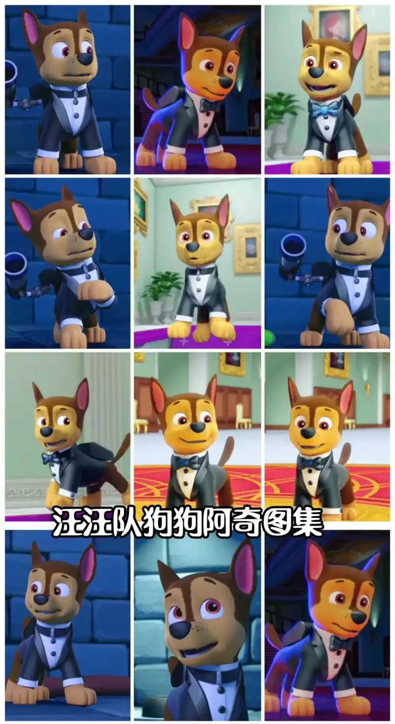 汪汪队立大功汪汪队阿奇