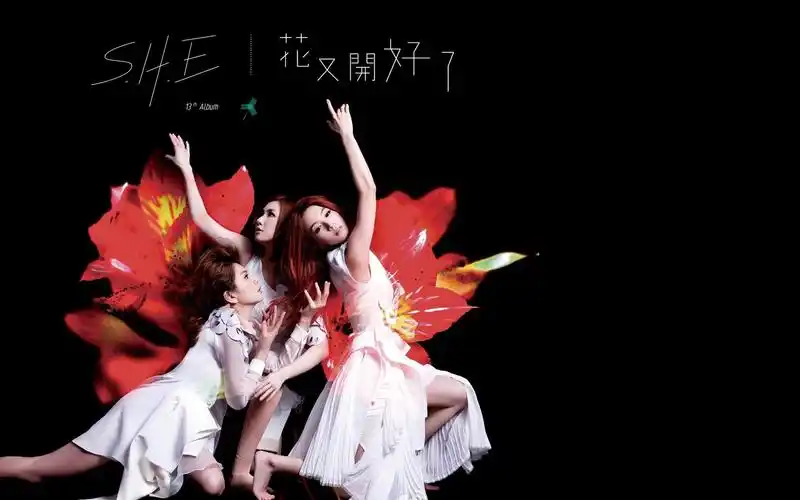 明星壁纸,电脑壁纸she