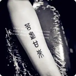 原创防水 span class=h>纹身贴 /span>中文手臂黑白持久仿真男女文字