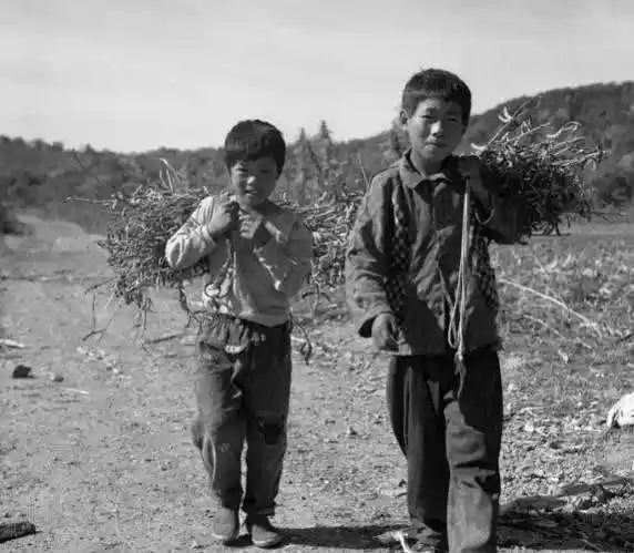 那些年我们穿过的补丁衣服