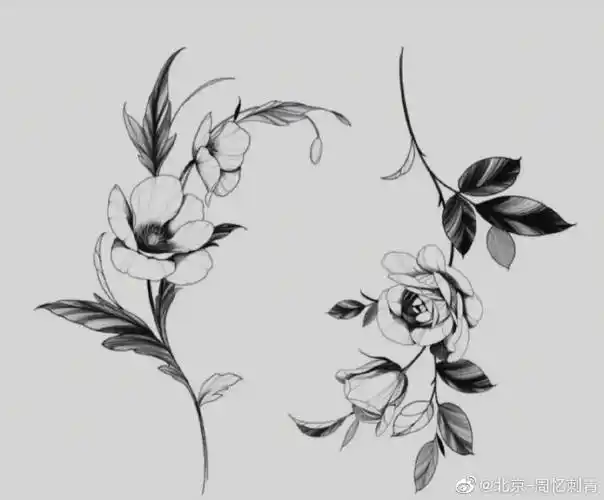 今日纹身图案分享素花纹身手稿分享#纹身设计##女生纹身##北京周忆