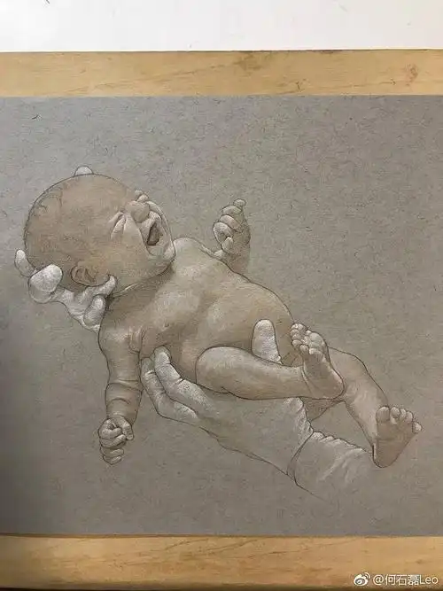 工具:三菱油性 将军白炭 盟友色粉 strathmore冷灰素描纸上海