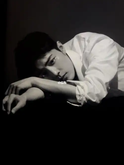 肖战黑白图片来源视频