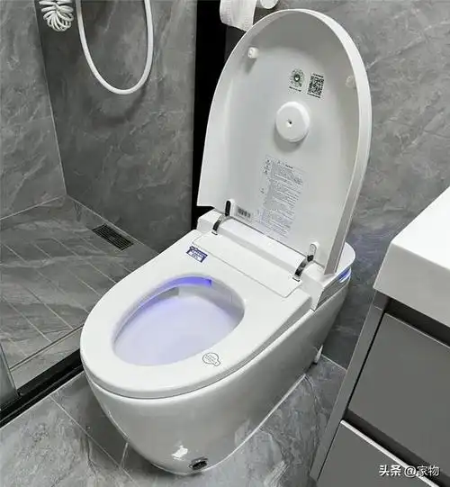 智能马桶好不好,智能马桶的危害(我家买智能马桶)