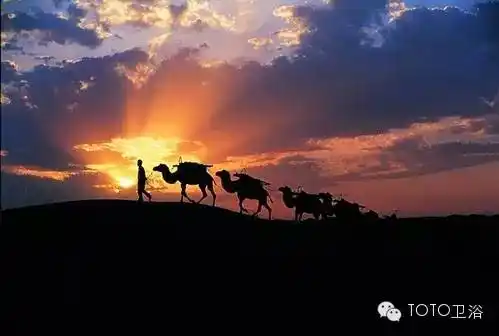 十画十说| 捧一指流沙岁月,行二次生命旅程