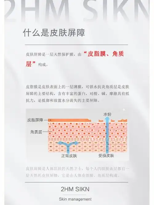 皮肤基础知识什么是皮肤屏障