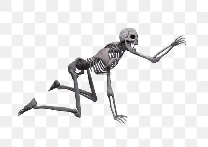 01840_一个灰色的骷髅跪在地面上透明png素材.jpg