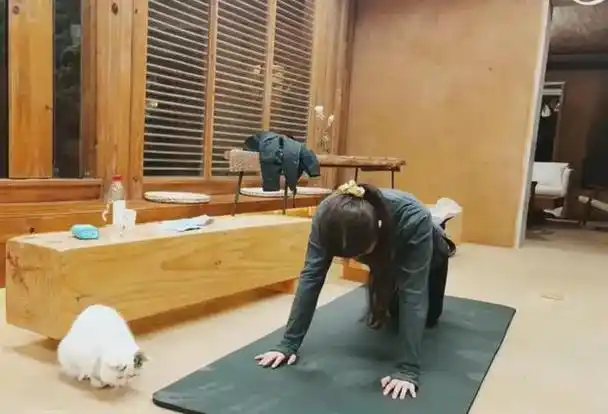 在家就可以随时运动part3:健身区因为工作性质的原因,日常刘亦菲