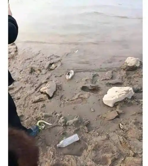 原创湖南溺亡大学生的哥哥妹妹手机还没找到不敢告诉70岁的奶奶