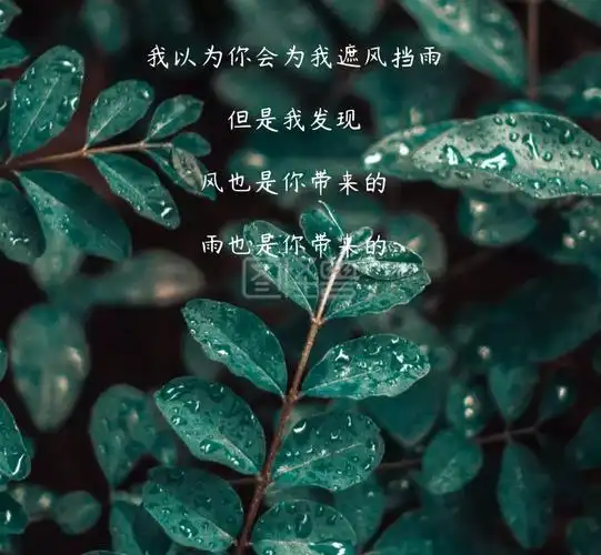 伤心流泪下雨伤感红包朋友圈封面