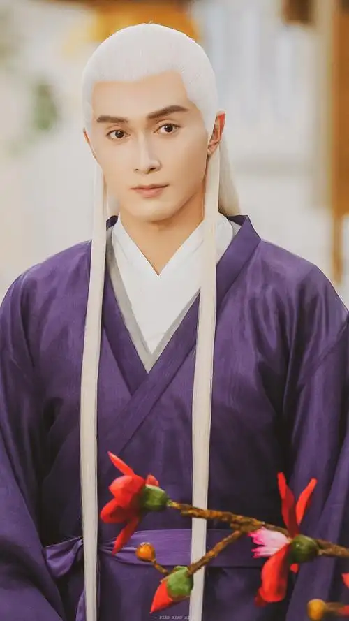 三生三世枕上书电视剧 东华 高伟光