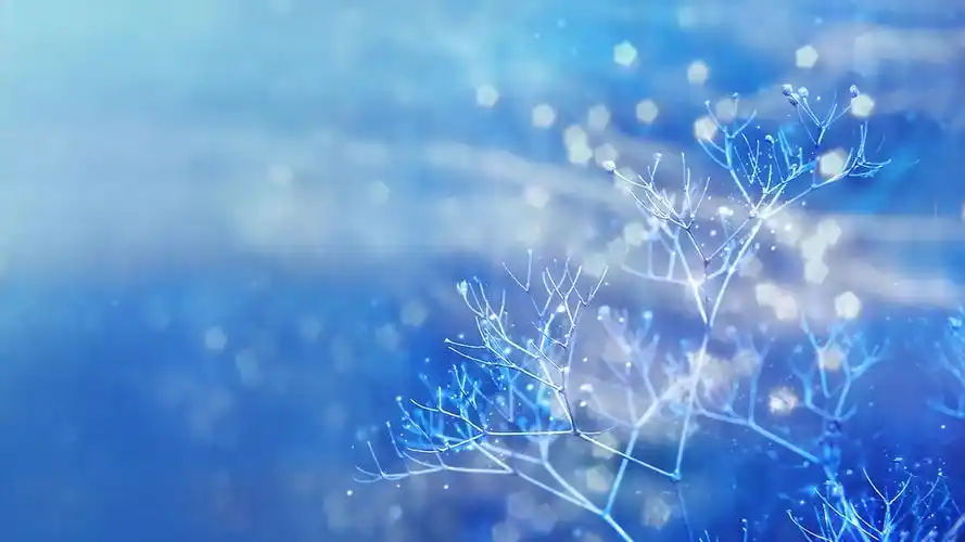 蓝色魔法 好看唯美旳淡蓝色背景图