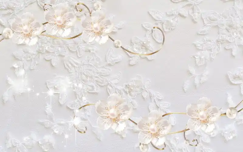 多格印象直融复制机适合在什么地方做?