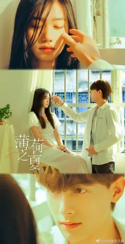 有人看薄荷之夏吗