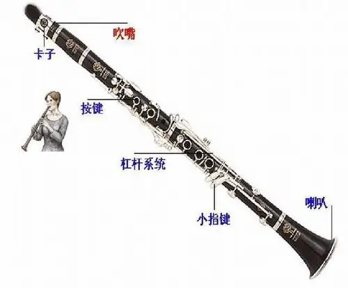 器乐知识贴丨年底新年音乐会来袭你知道怎么区分单簧管和双簧管吗
