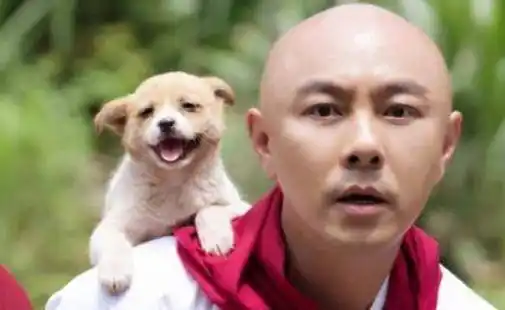 曾靠租房度日,28岁时刘德华张学友为他配戏,今53岁快被遗忘_张卫健