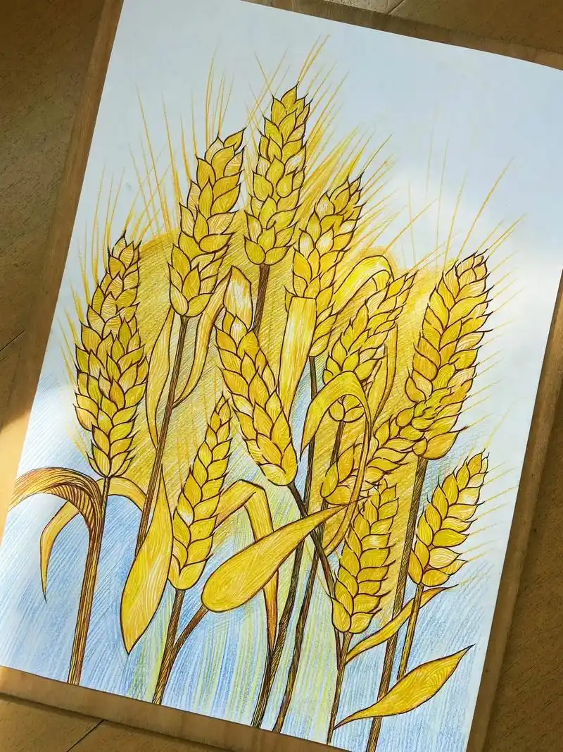 稻穗还是麦穗.#画画 #每日一画 #手绘 #秋天 #一起学画 - 抖音