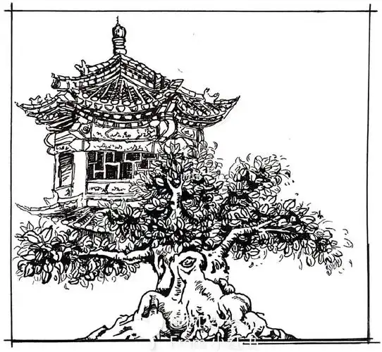 手绘风景速写|建筑速写|内附过程图