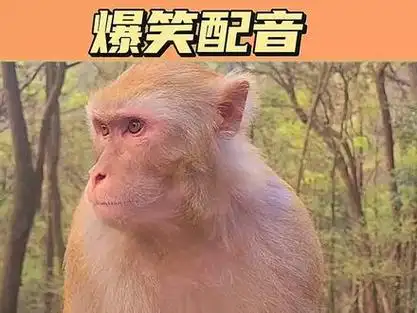 回去还是不回去呢#搞笑配音