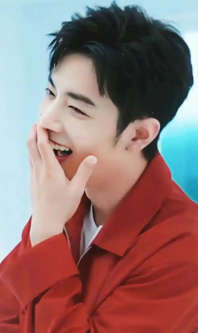 肖战治愈系的笑容