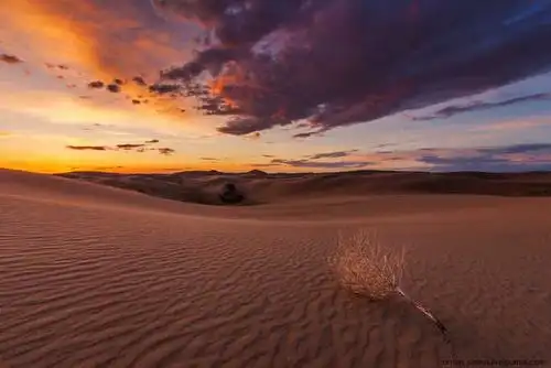 legends of the gobi desert by anton petrus on 500px