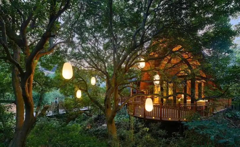 限时5折住进20万㎡童话森林享地暖木屋玩9200㎡室内水乐园嗨到30过