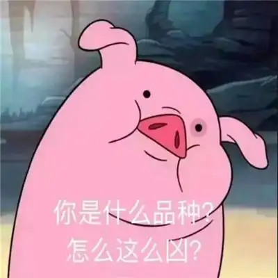 独一无二沙雕搞笑的逗比头像合集 2023最新好玩有趣的qq头像_个性头像