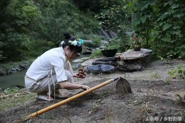 90后农村女孩野外搭茅草窝开荒种菜月入过万
