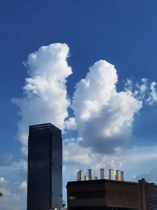 点击查看高清原图