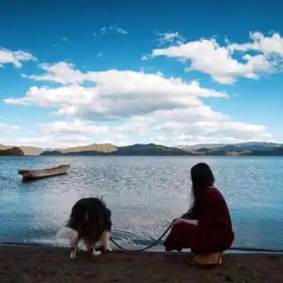 蓝天女头 图片评论 0条  收集   点赞  评论  女生头像 蓝色 大