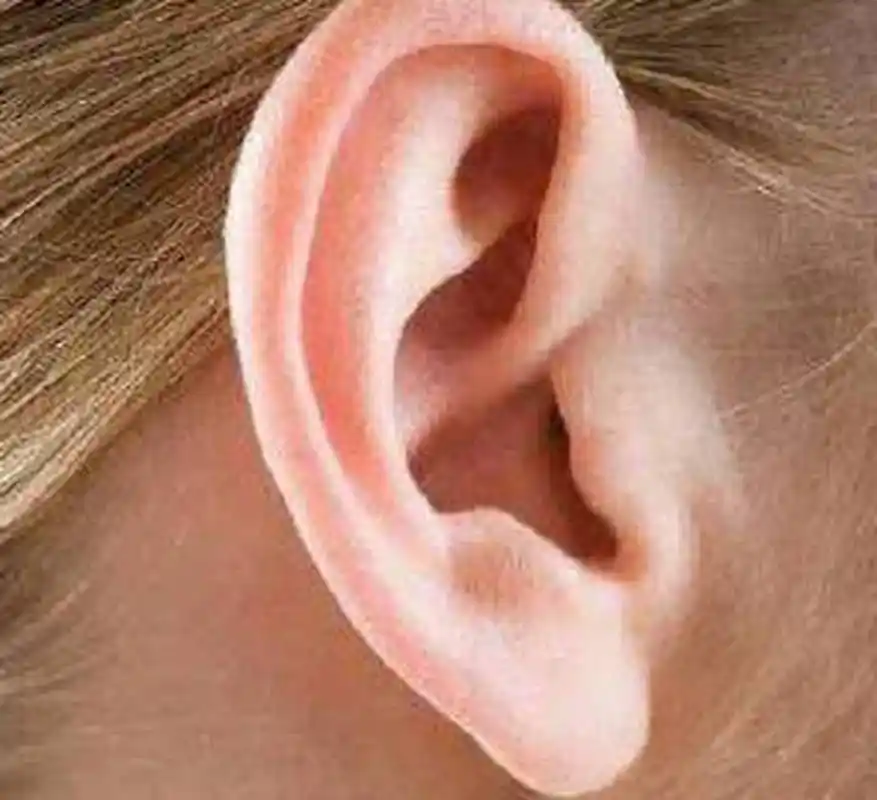 耳朵大的人:  耳朵大代表有福气,女生耳朵大也是有福气的一个特征