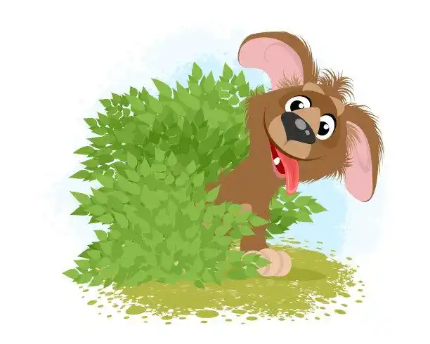 毛茸茸的毛皮矢量图