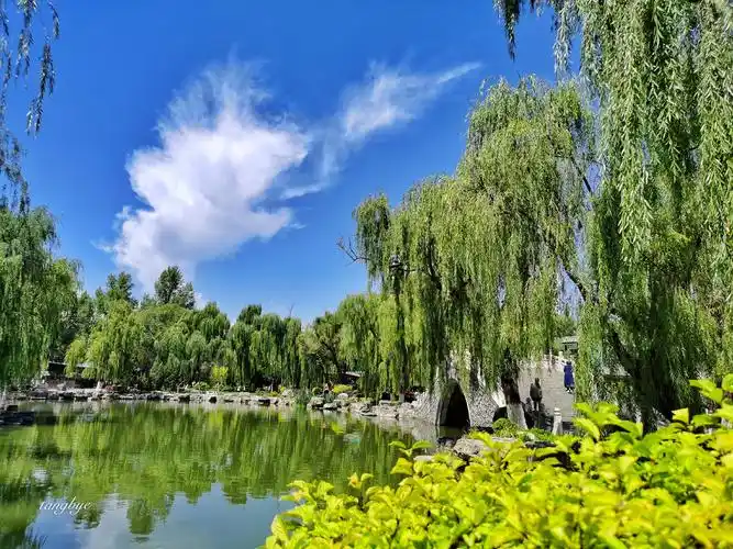 西宁人民公园夏天的美景